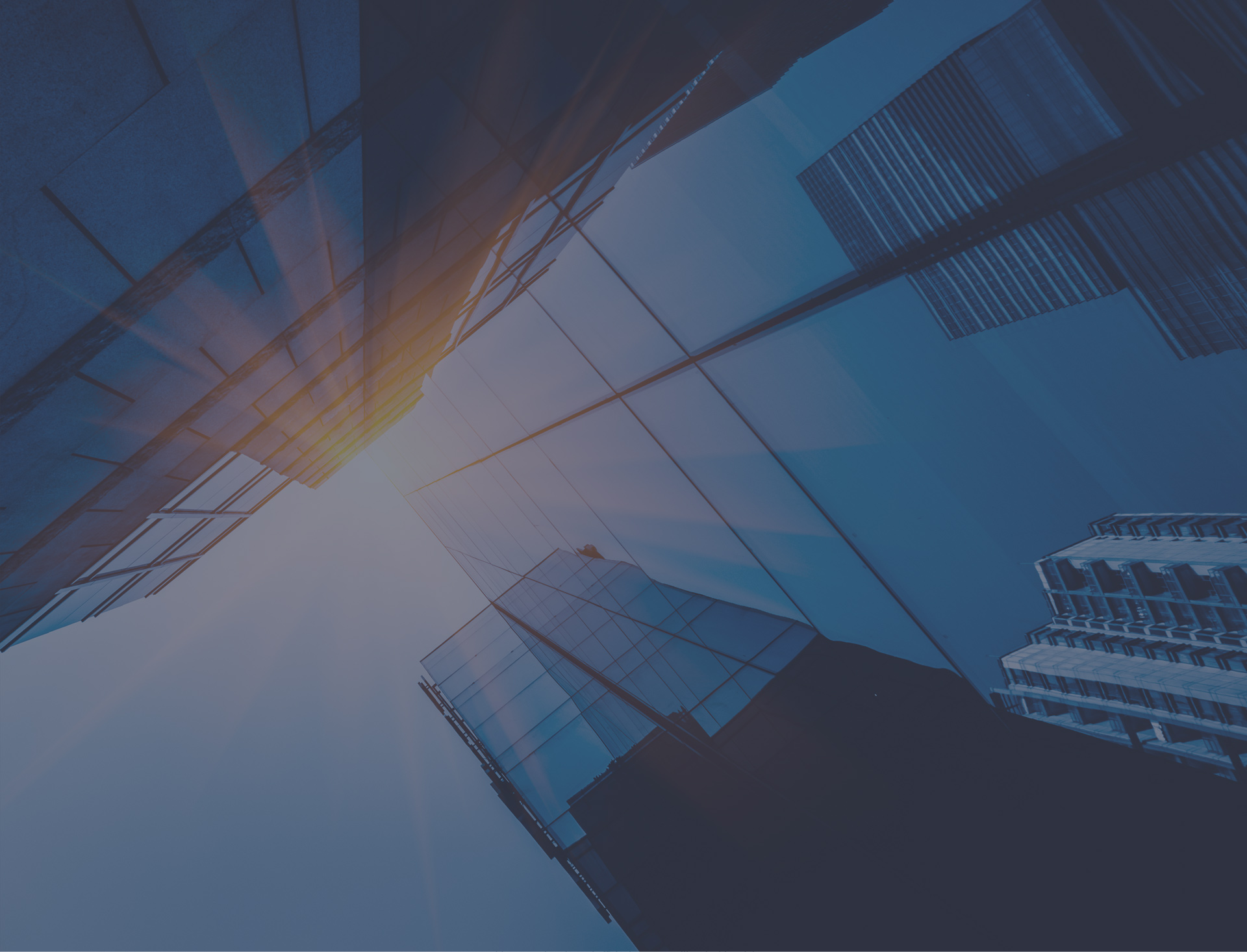 Thiết kế Profile 7